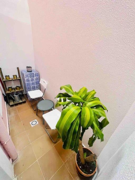 Graca Home Lisboa Extérieur photo